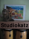 Studiokatz - News from opera