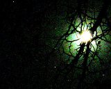Sterne und Mond - Neppstar