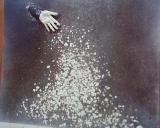 Webstar Spenderhand 1