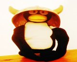 Helmpinguin Webstar
